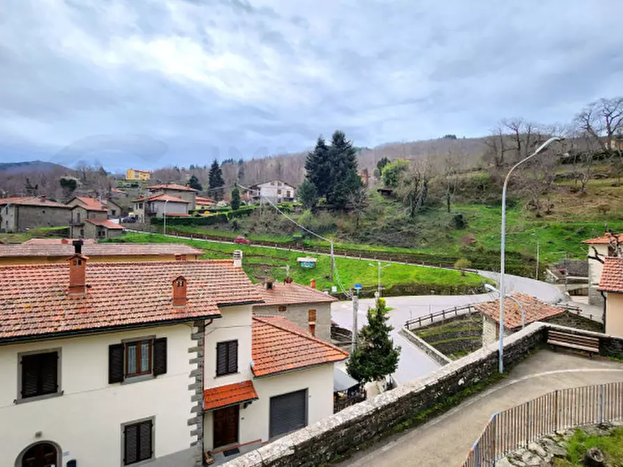 Immagine 16 di Appartamento in vendita  in via pieve a Montemignaio