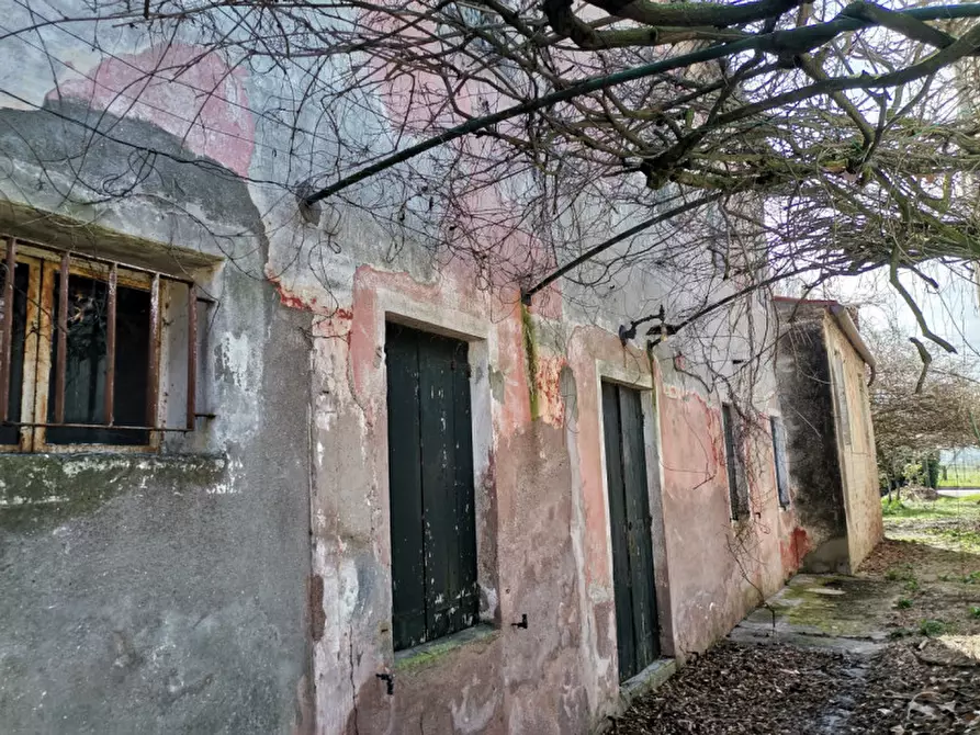 Immagine 16 di Villa in vendita  a Mira