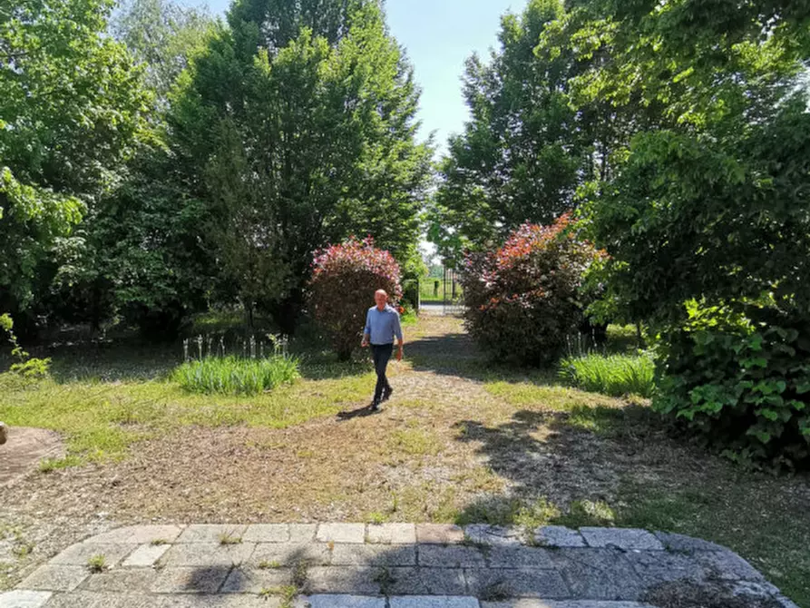 Immagine 18 di Villa in vendita  a Mira