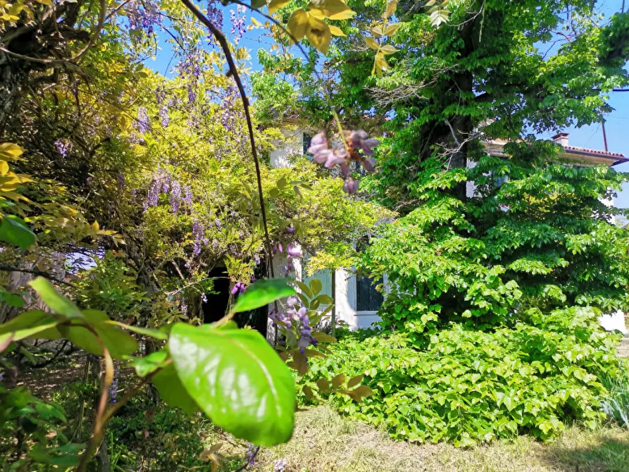 Immagine 19 di Villa in vendita  a Mira