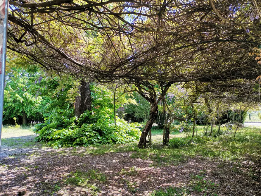 Immagine 20 di Villa in vendita  a Mira