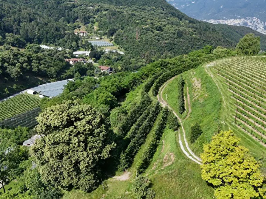 Immagine 4 di Casa indipendente in vendita  in Via San Carlo a Drena