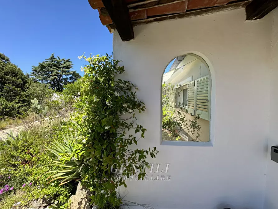 Immagine 31 di Villa in vendita  a Arzachena