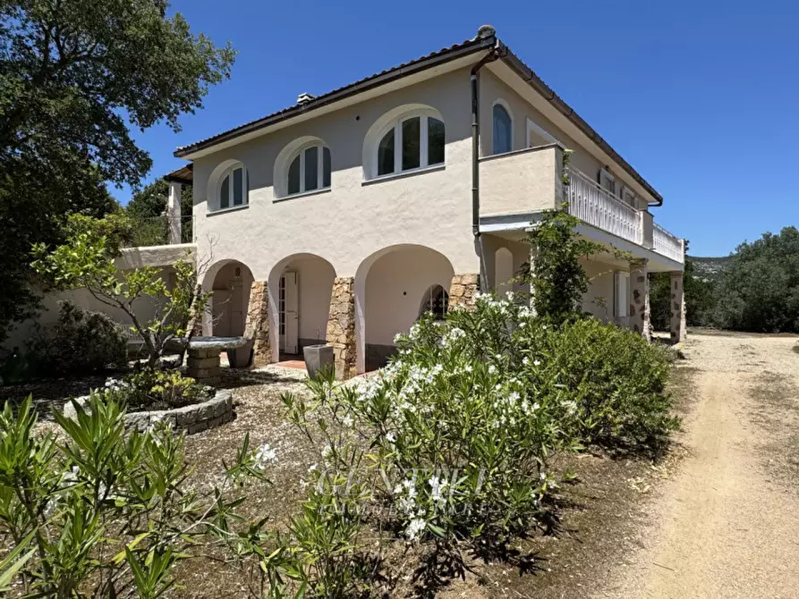Immagine 38 di Villa in vendita  a Arzachena