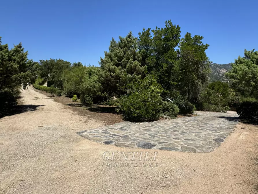 Immagine 39 di Villa in vendita  a Arzachena