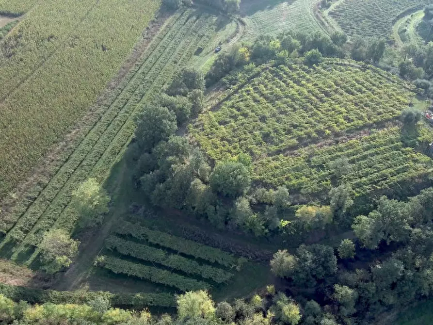 Immagine 1 di Terreno in vendita  in Loc. Palazzina a Pastrengo