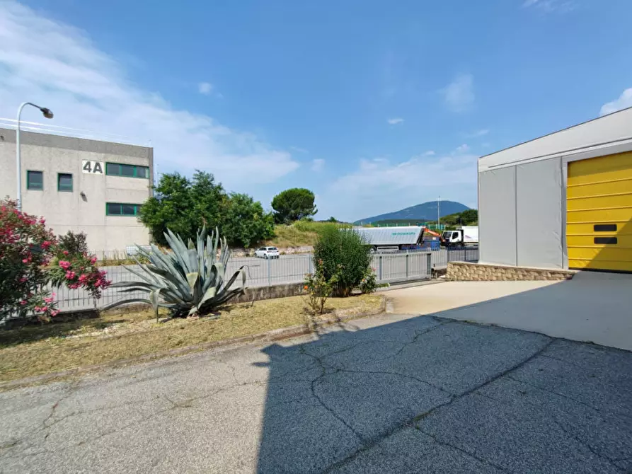 Immagine 12 di Capannone industriale in affitto  a Affi