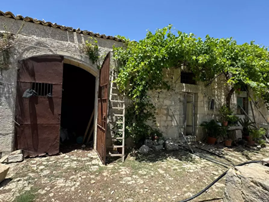 Immagine 3 di Casa indipendente in vendita  a Modica