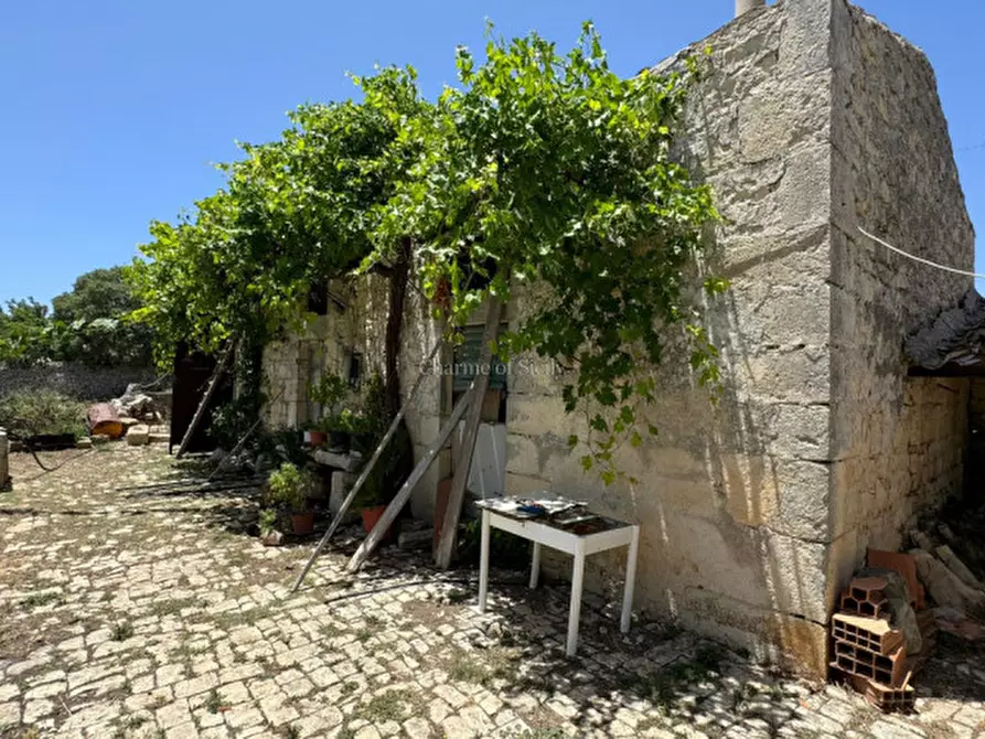 Immagine 4 di Casa indipendente in vendita  a Modica