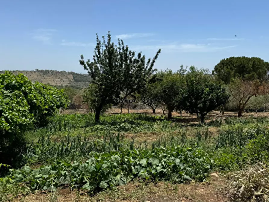 Immagine 24 di Casa indipendente in vendita  a Modica