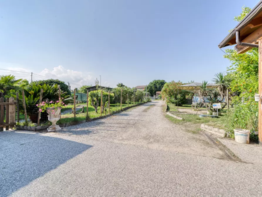 Immagine 17 di Casa bifamiliare in vendita  in via Trieste a Polverara