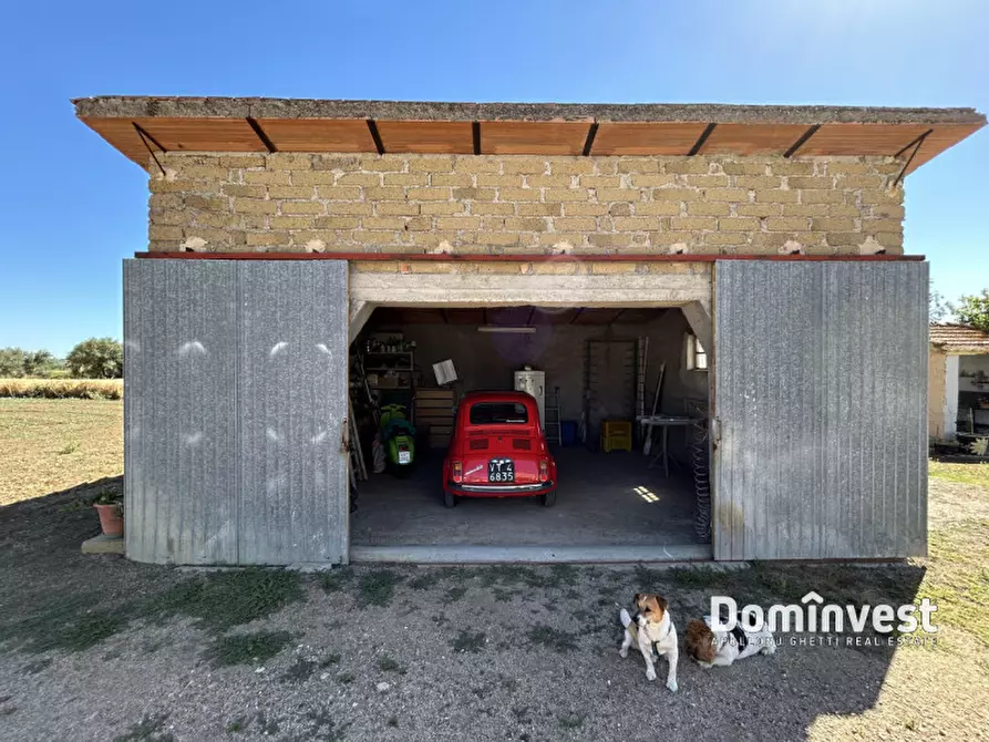 Immagine 29 di Rustico / casale in vendita  in strada della principessa a Montalto Di Castro