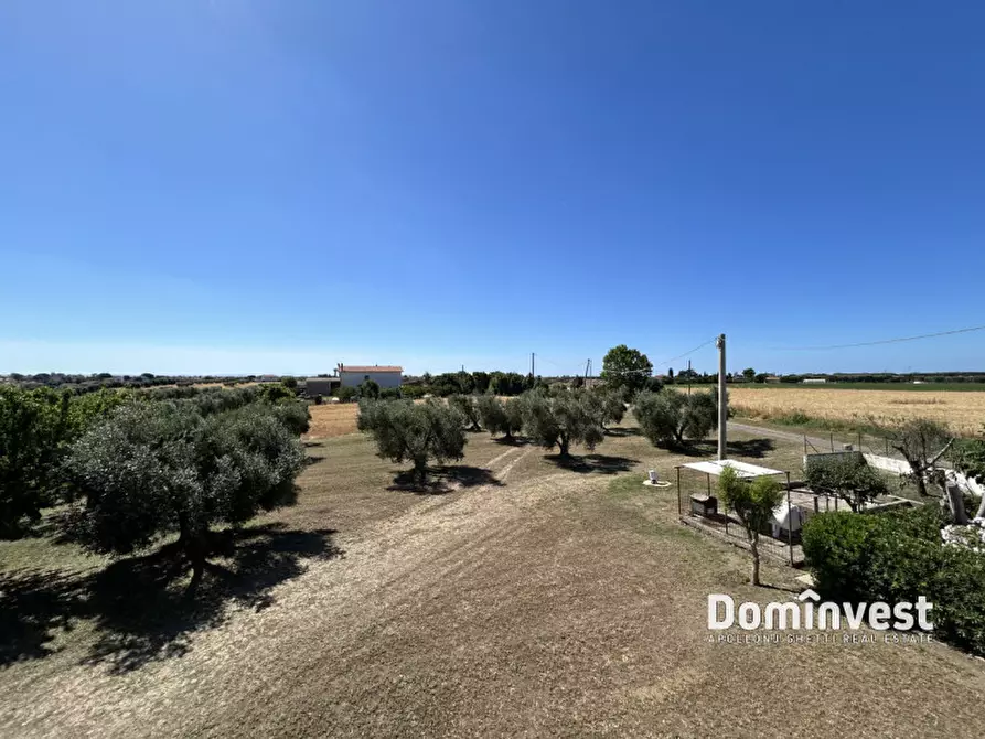 Immagine 32 di Rustico / casale in vendita  in strada della principessa a Montalto Di Castro