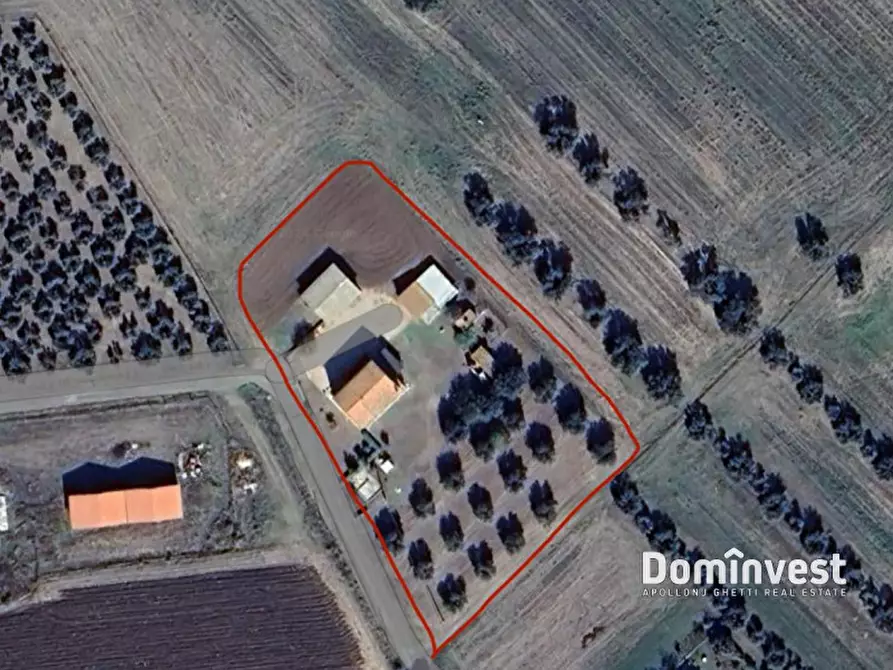 Immagine 34 di Rustico / casale in vendita  in strada della principessa a Montalto Di Castro