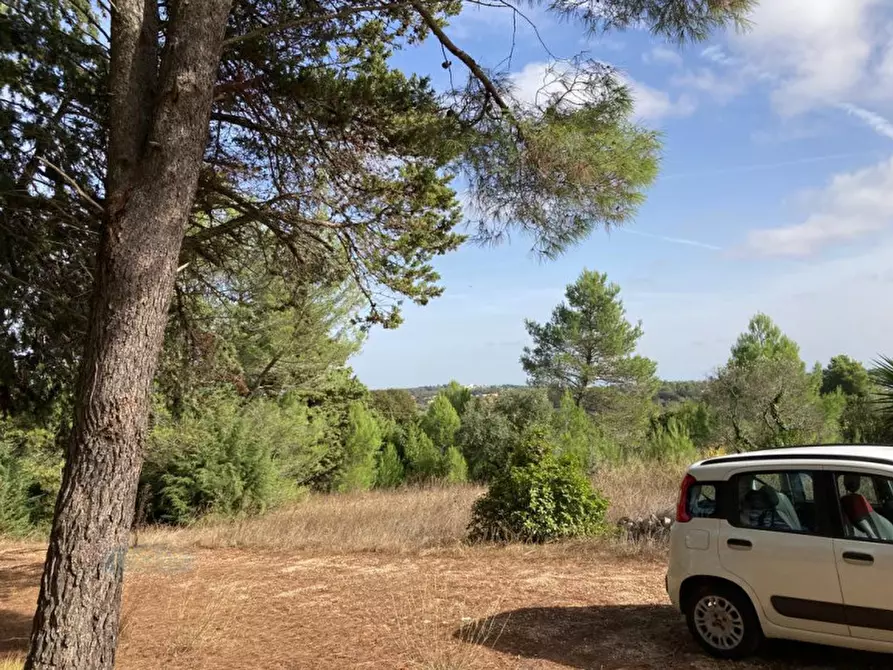 Immagine 10 di Rustico / casale in vendita  in Contrada ULMO a Ceglie Messapico