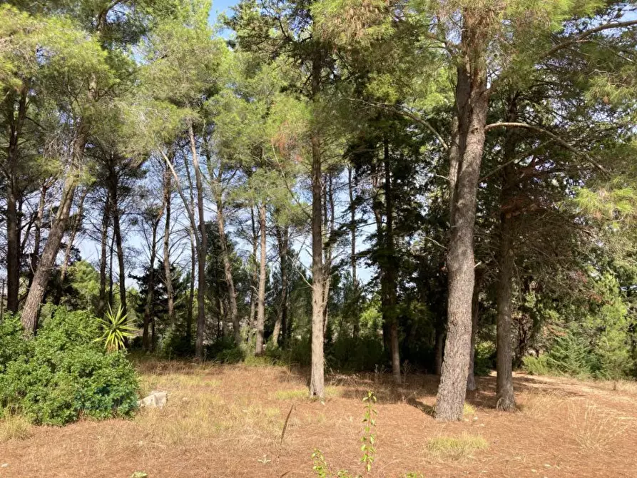 Immagine 16 di Rustico / casale in vendita  in Contrada ULMO a Ceglie Messapico