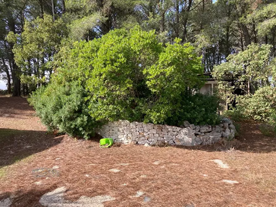 Immagine 17 di Rustico / casale in vendita  in Contrada ULMO a Ceglie Messapico