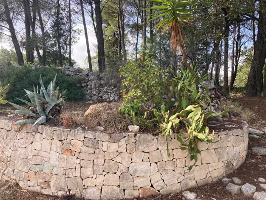 Immagine 18 di Rustico / casale in vendita  in Contrada ULMO a Ceglie Messapico