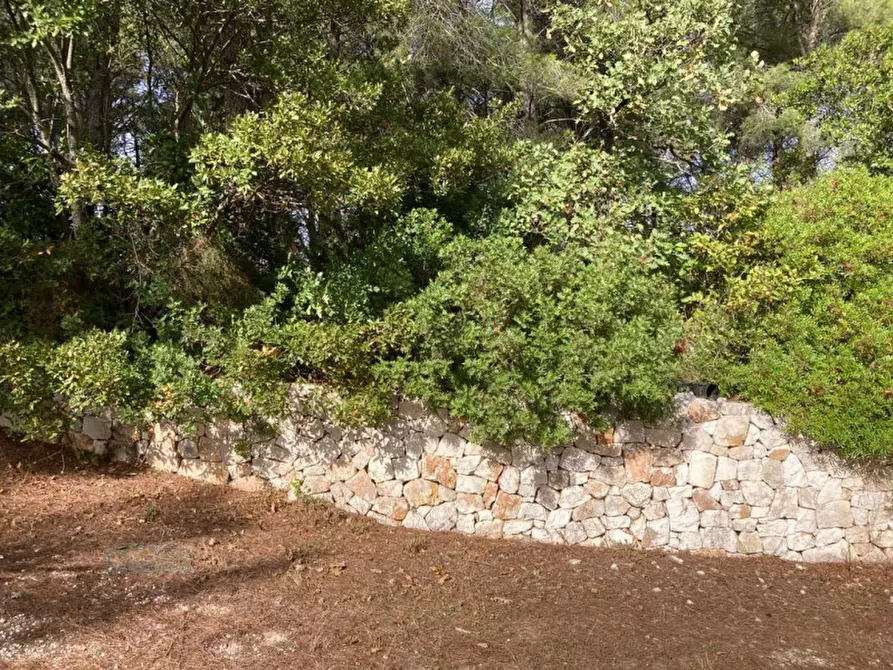 Immagine 19 di Rustico / casale in vendita  in Contrada ULMO a Ceglie Messapico