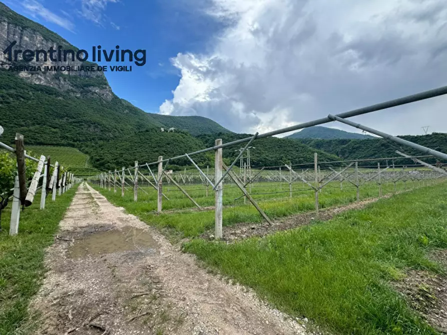 Immagine 5 di Terreno in vendita  a San Michele All'adige