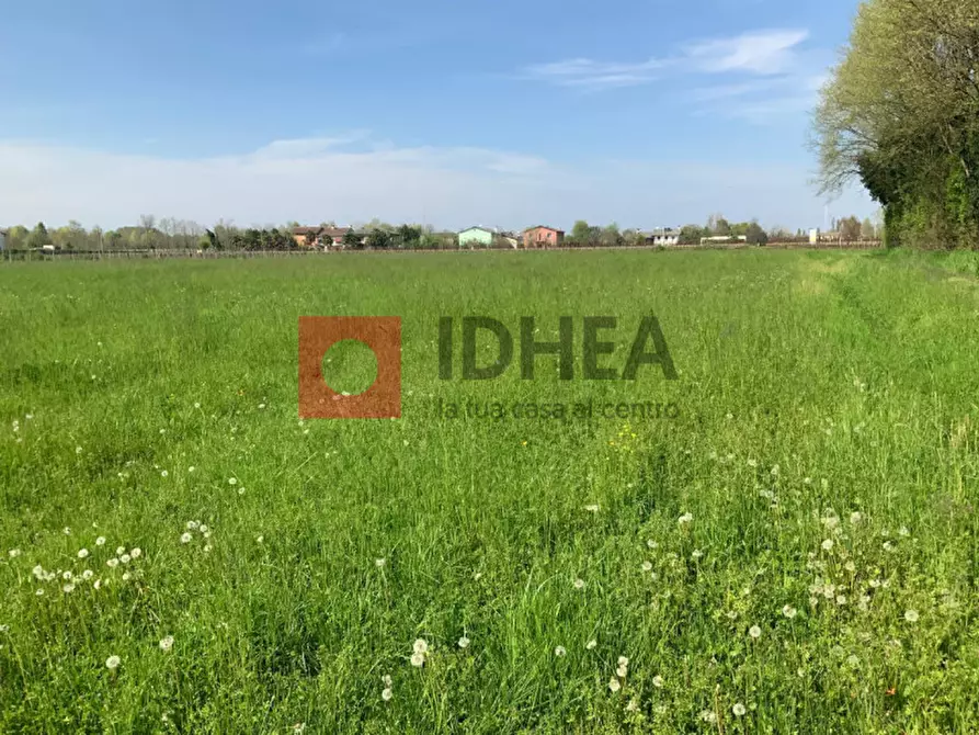 Immagine 2 di Terreno in vendita  in BIANCADE a Roncade