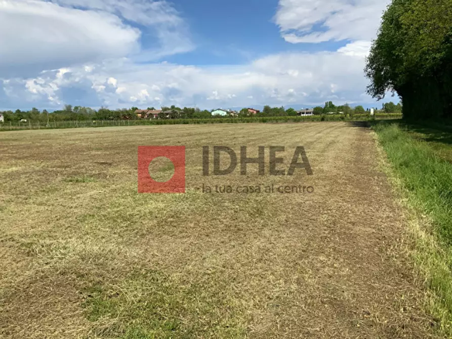 Immagine 3 di Terreno in vendita  in BIANCADE a Roncade
