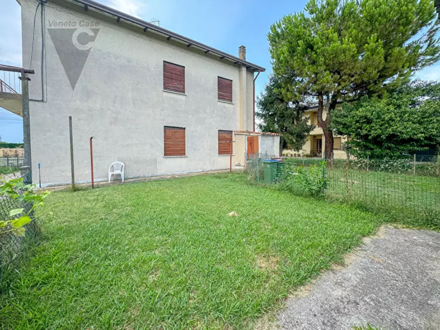 Immagine 5 di Terreno in vendita  a Vigonza