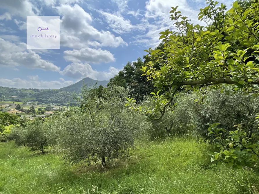 Immagine 1 di Terreno in vendita  in via regazzoni bassa a Galzignano Terme