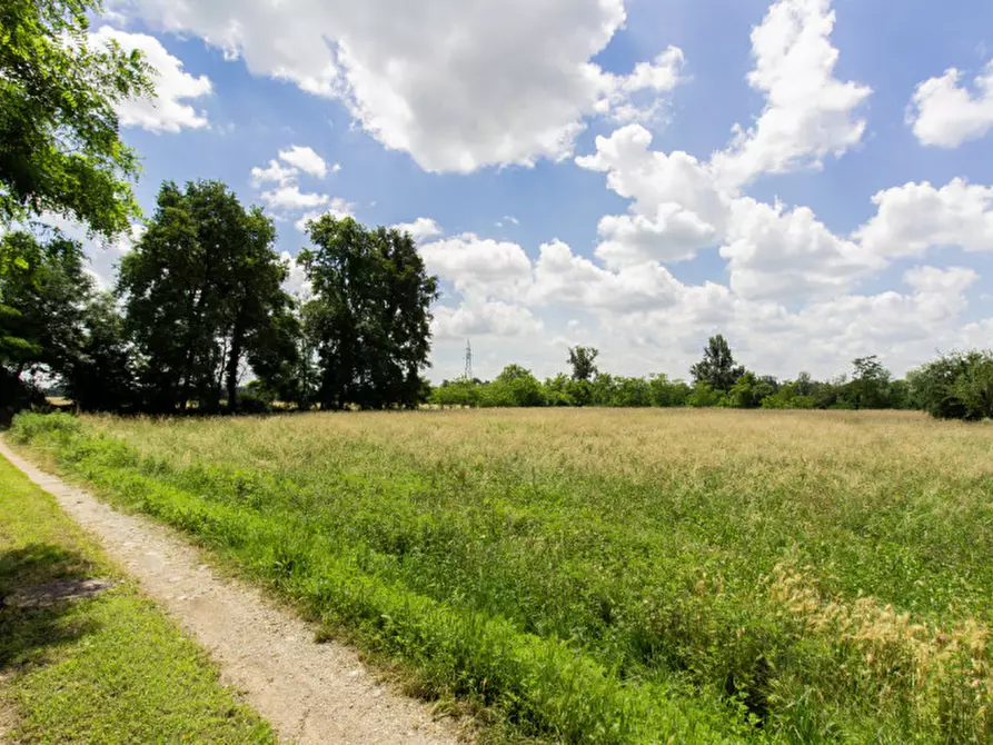 Immagine 8 di Rustico / casale in vendita  in Frazione Sant'Antonio a Castellamonte