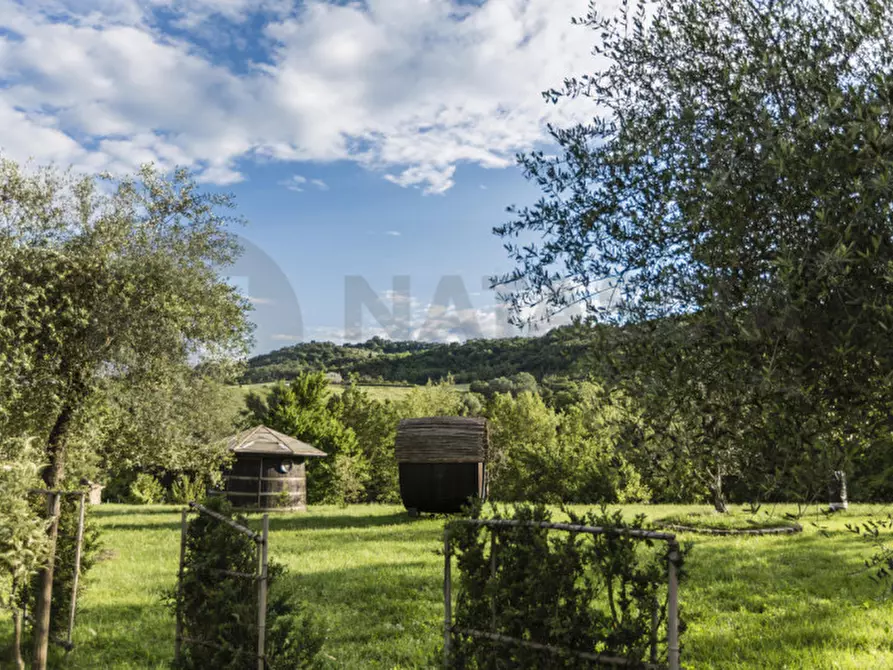 Immagine 16 di Rustico / casale in vendita  in VIA ARETINA a Pelago