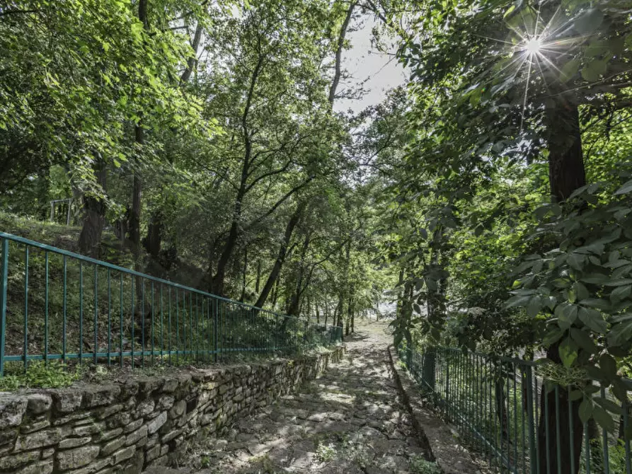 Immagine 22 di Rustico / casale in vendita  in VIA ARETINA a Pelago