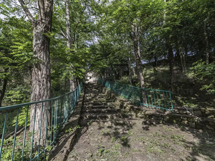 Immagine 23 di Rustico / casale in vendita  in VIA ARETINA a Pelago