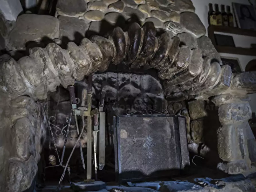 Immagine 43 di Rustico / casale in vendita  in VIA ARETINA a Pelago