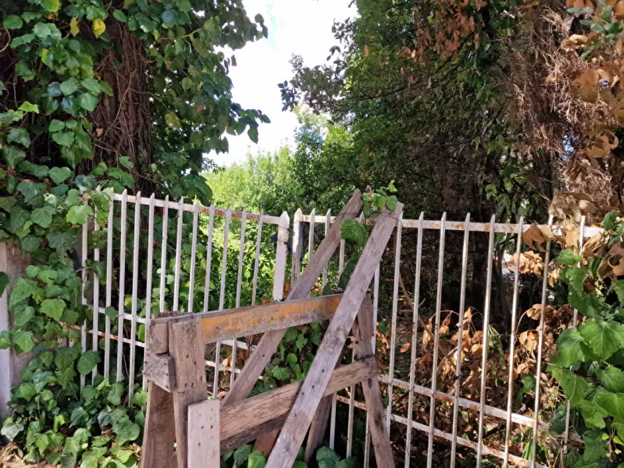 Immagine 5 di Terreno in vendita  in via Basilio Puoti a Roma