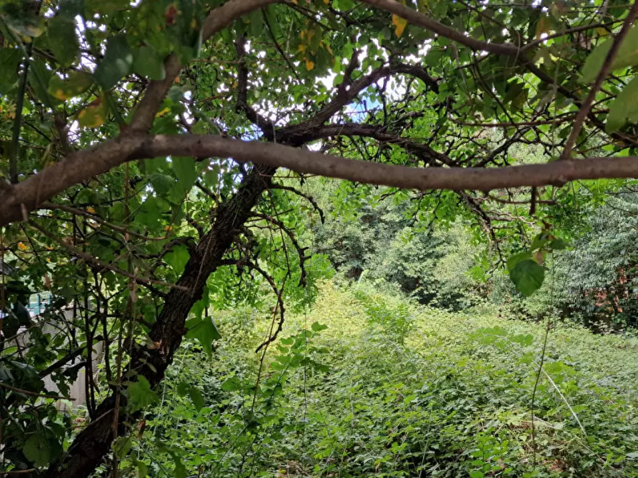 Immagine 7 di Terreno in vendita  in via Basilio Puoti a Roma