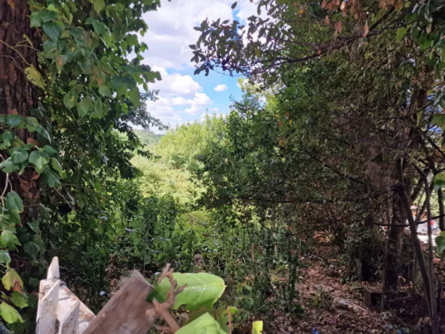 Immagine 8 di Terreno in vendita  in via Basilio Puoti a Roma