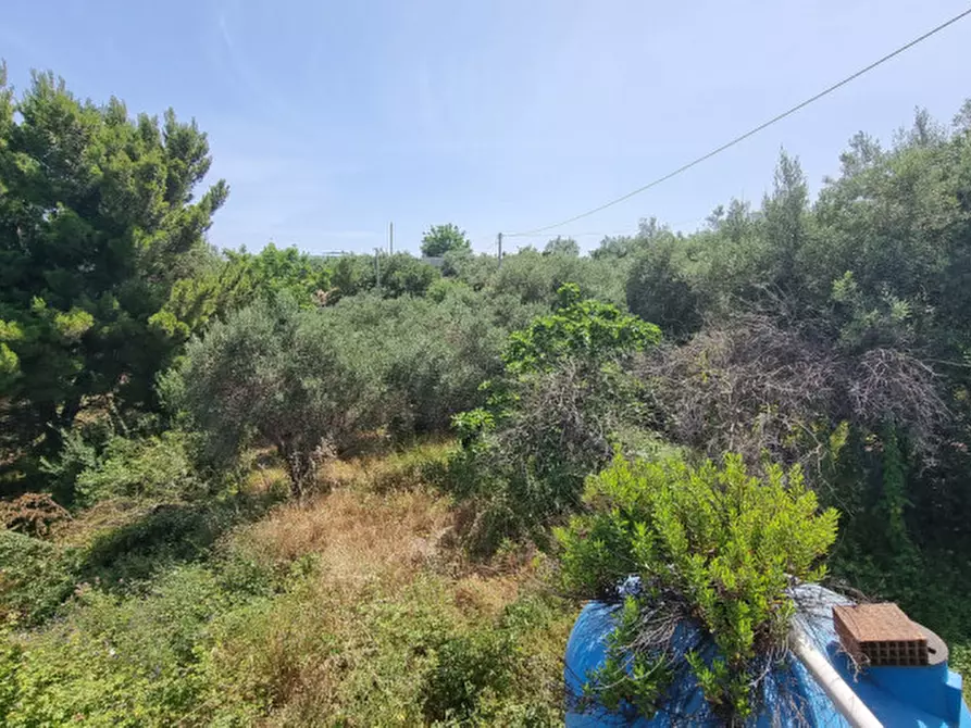 Immagine 12 di Casa indipendente in vendita  in contrada mancusa a Pace Del Mela