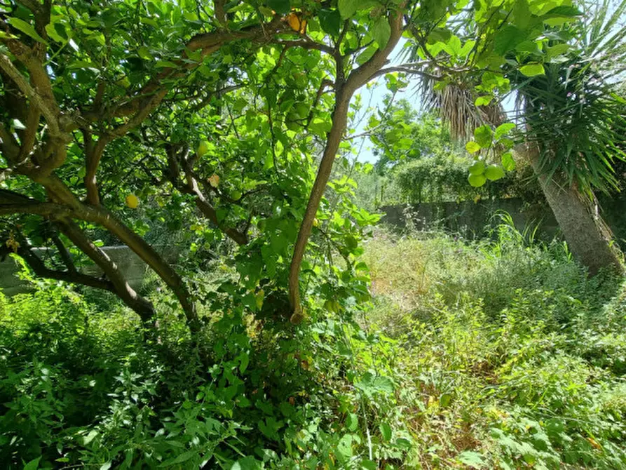 Immagine 13 di Casa indipendente in vendita  in contrada mancusa a Pace Del Mela