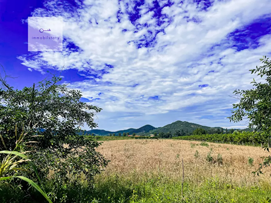 Immagine 6 di Terreno in vendita  in monselice a Monselice