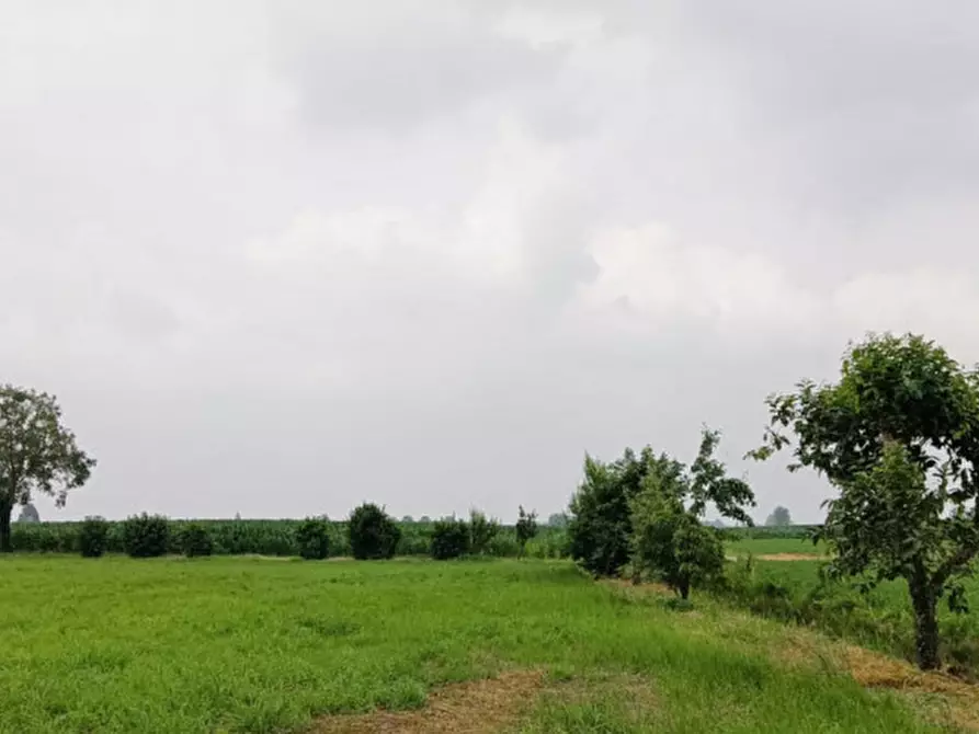 Immagine 5 di Casa indipendente in vendita  in località casalpoglio a Castel Goffredo