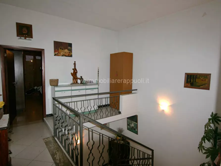 Immagine 15 di Villetta a schiera in vendita  a Sinalunga