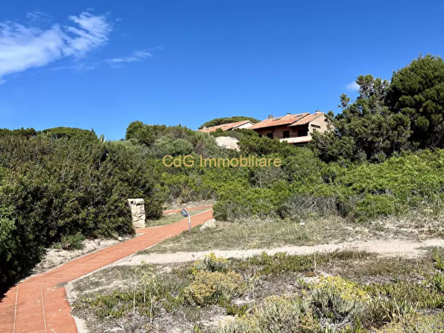 Immagine 23 di Appartamento in vendita  a Golfo Aranci