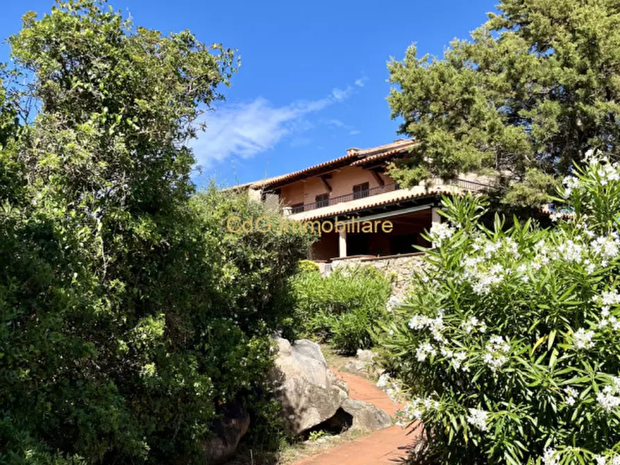 Immagine 27 di Appartamento in vendita  a Golfo Aranci