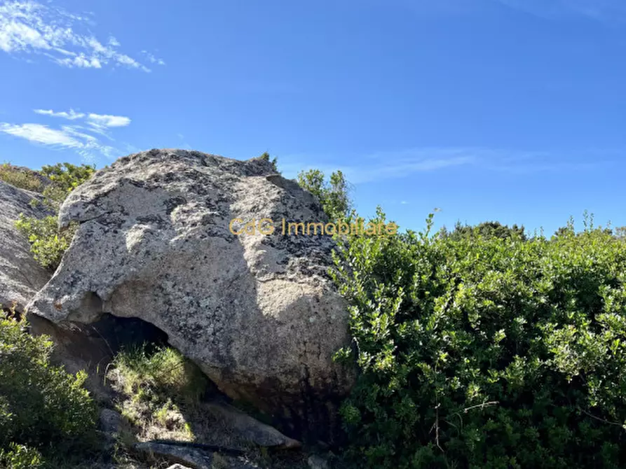 Immagine 28 di Appartamento in vendita  a Golfo Aranci