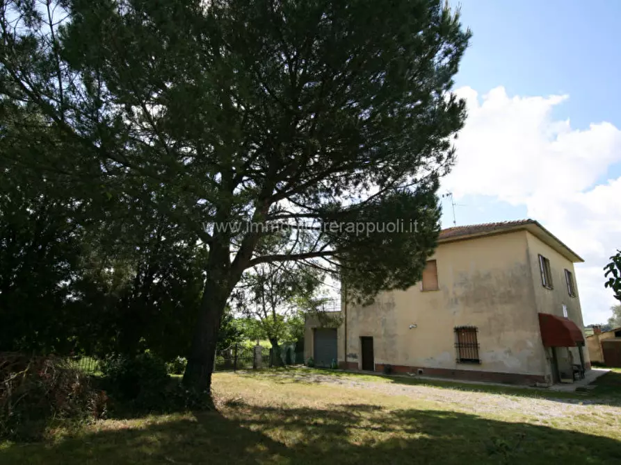 Immagine 1 di Casa indipendente in vendita  a Montepulciano