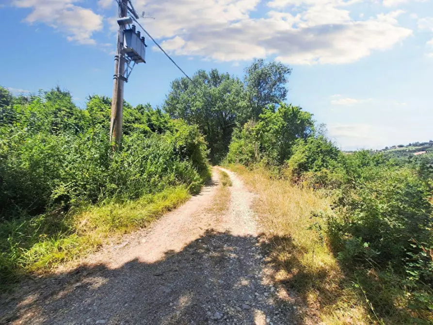 Immagine 2 di Terreno in vendita  in Loc. Paganello - Via dell'Eremo, N. snc a Monte Castello Di Vibio
