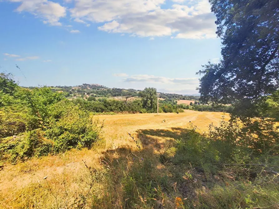 Immagine 3 di Terreno in vendita  in Loc. Paganello - Via dell'Eremo, N. snc a Monte Castello Di Vibio