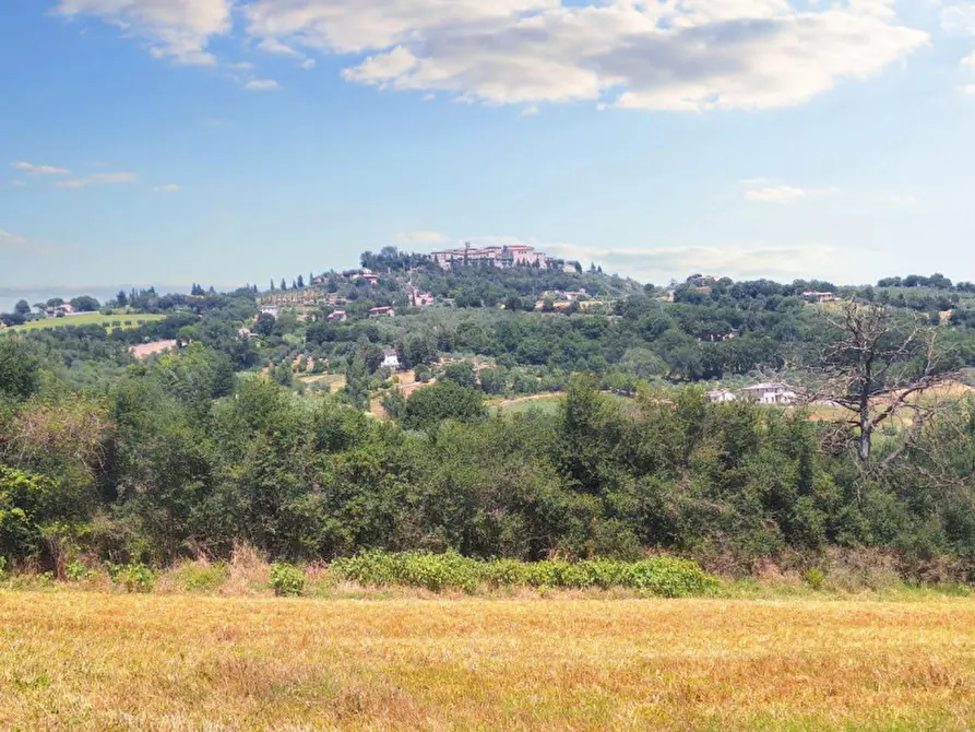 Immagine 4 di Terreno in vendita  in Loc. Paganello - Via dell'Eremo, N. snc a Monte Castello Di Vibio