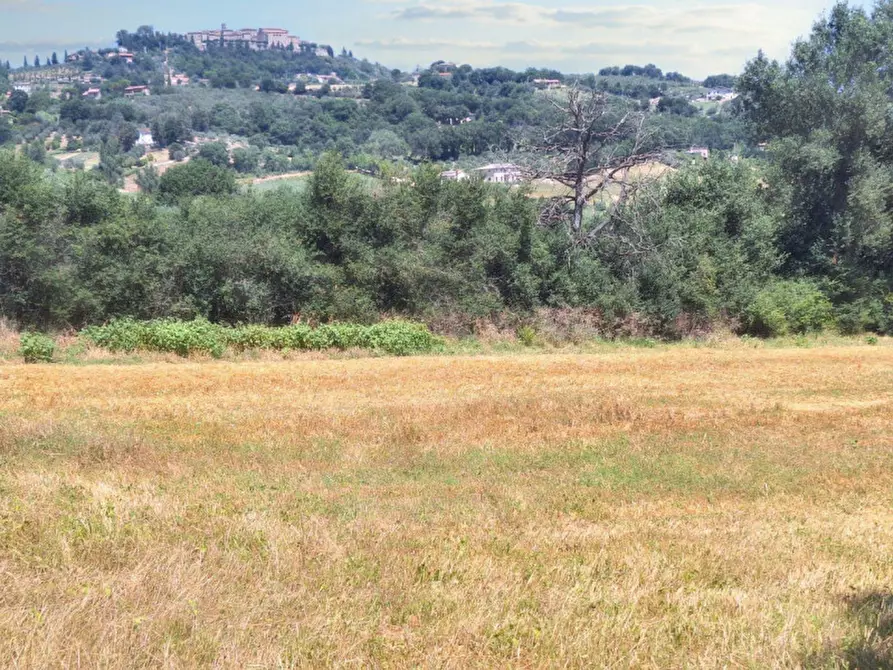 Immagine 5 di Terreno in vendita  in Loc. Paganello - Via dell'Eremo, N. snc a Monte Castello Di Vibio