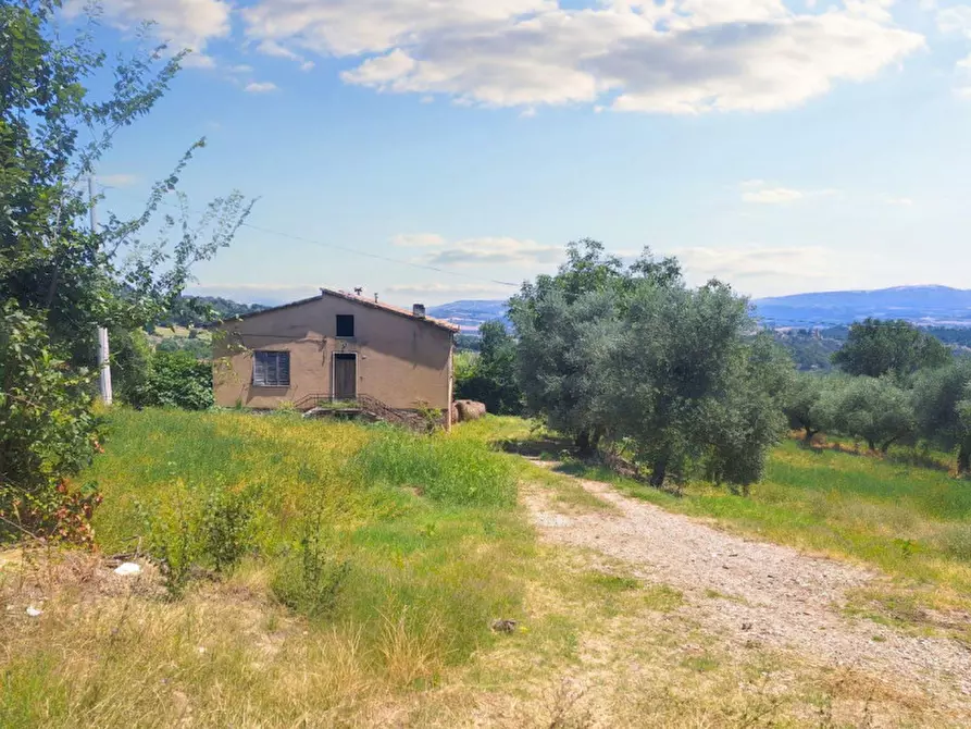 Immagine 9 di Terreno in vendita  in Loc. Paganello - Via dell'Eremo, N. snc a Monte Castello Di Vibio
